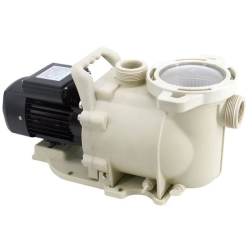 SFP100-Pompe AQP 1HP-0.75KW-220V-60Hz-2 Raccords 50mm