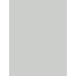 Liner en PVC armé de 150/100ème-Couleur Gris Clair-Rouleau de 45.75 M2